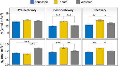 Genotype, mycorrhizae, and herbivory interact to shape strawberry plant functional traits